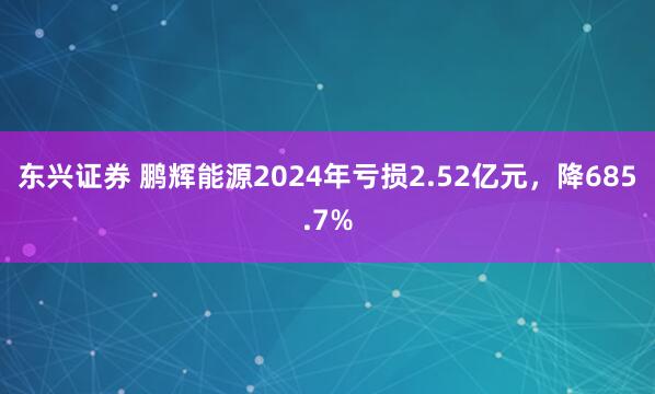东兴证券 鹏辉能源2024年亏损2.52亿元，降685.7%