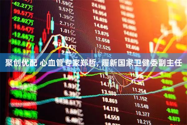 聚创优配 心血管专家郑哲, 履新国家卫健委副主任